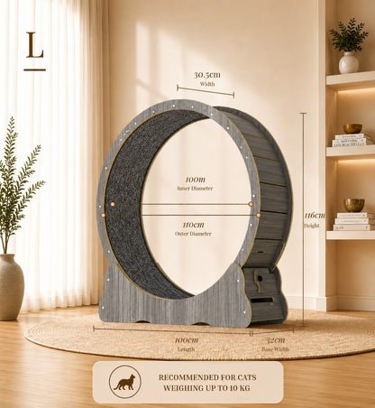 Cat Running Wheel