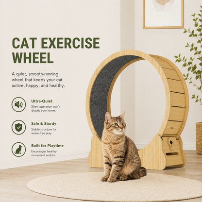 Cat Running Wheel