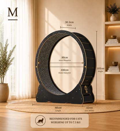 Cat Running Wheel