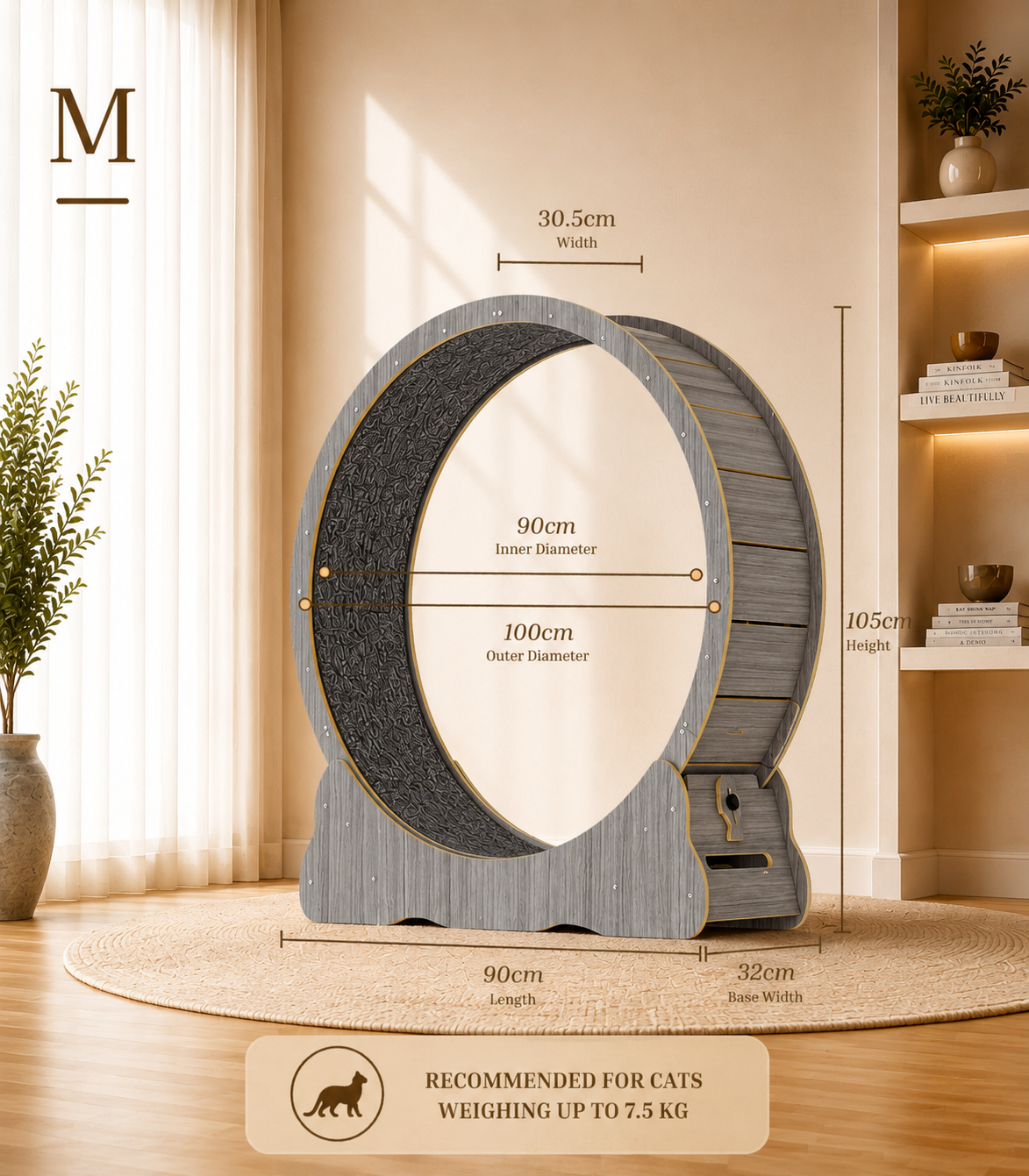 Cat Running Wheel