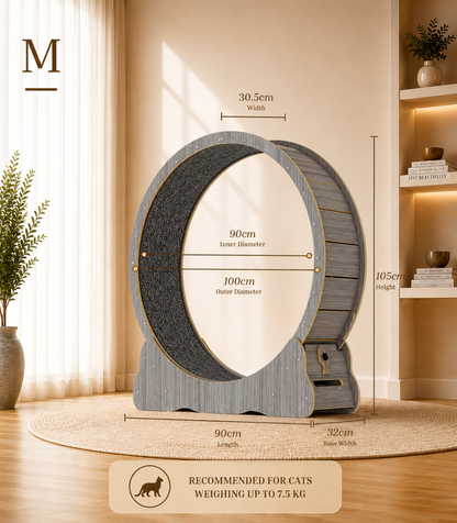 Cat Running Wheel