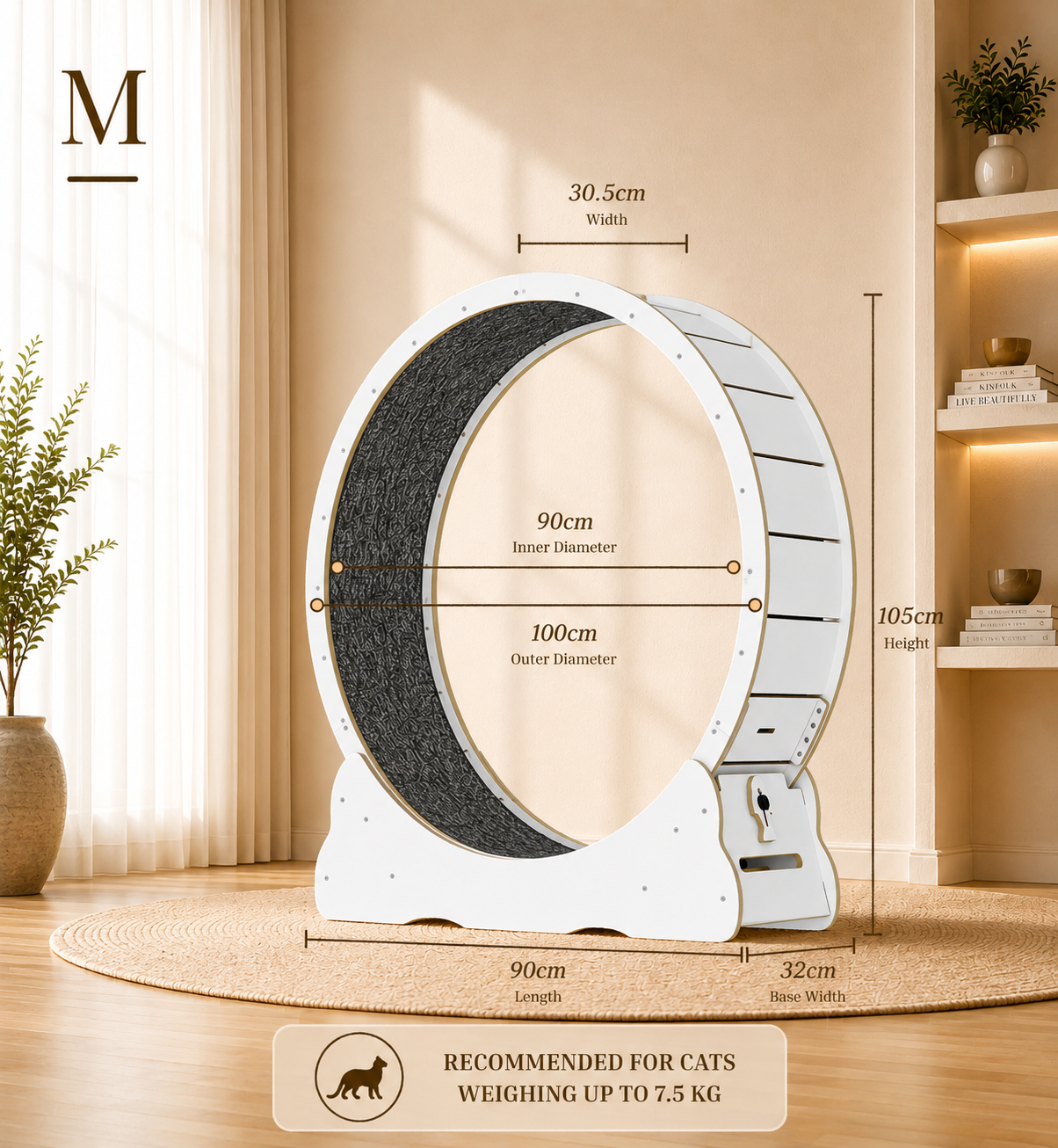 Cat Running Wheel