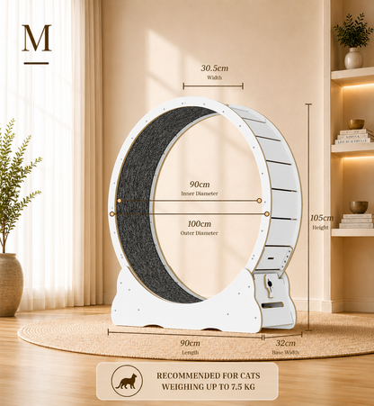Cat Running Wheel