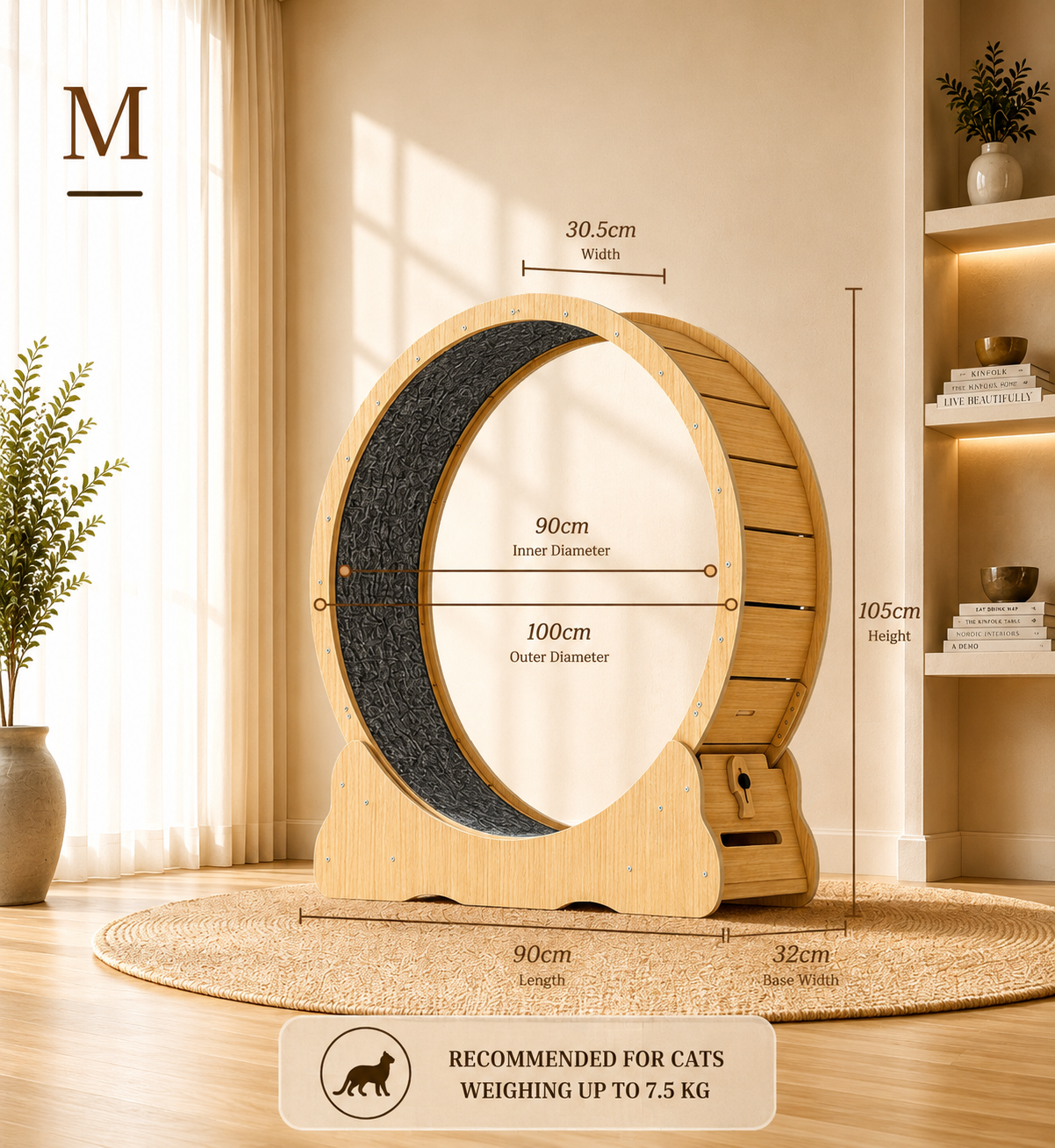 Cat Running Wheel