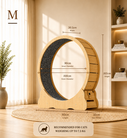 Cat Running Wheel