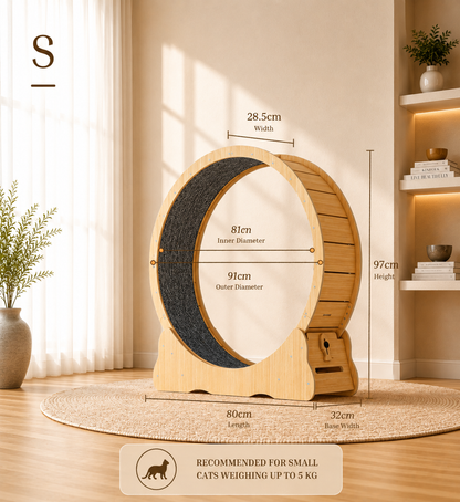Cat Running Wheel