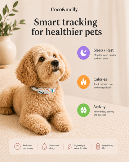 Dog wearing a smart pet tracker collar with features listed on a beige background