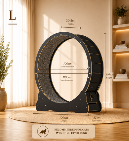 Cat Running Wheel