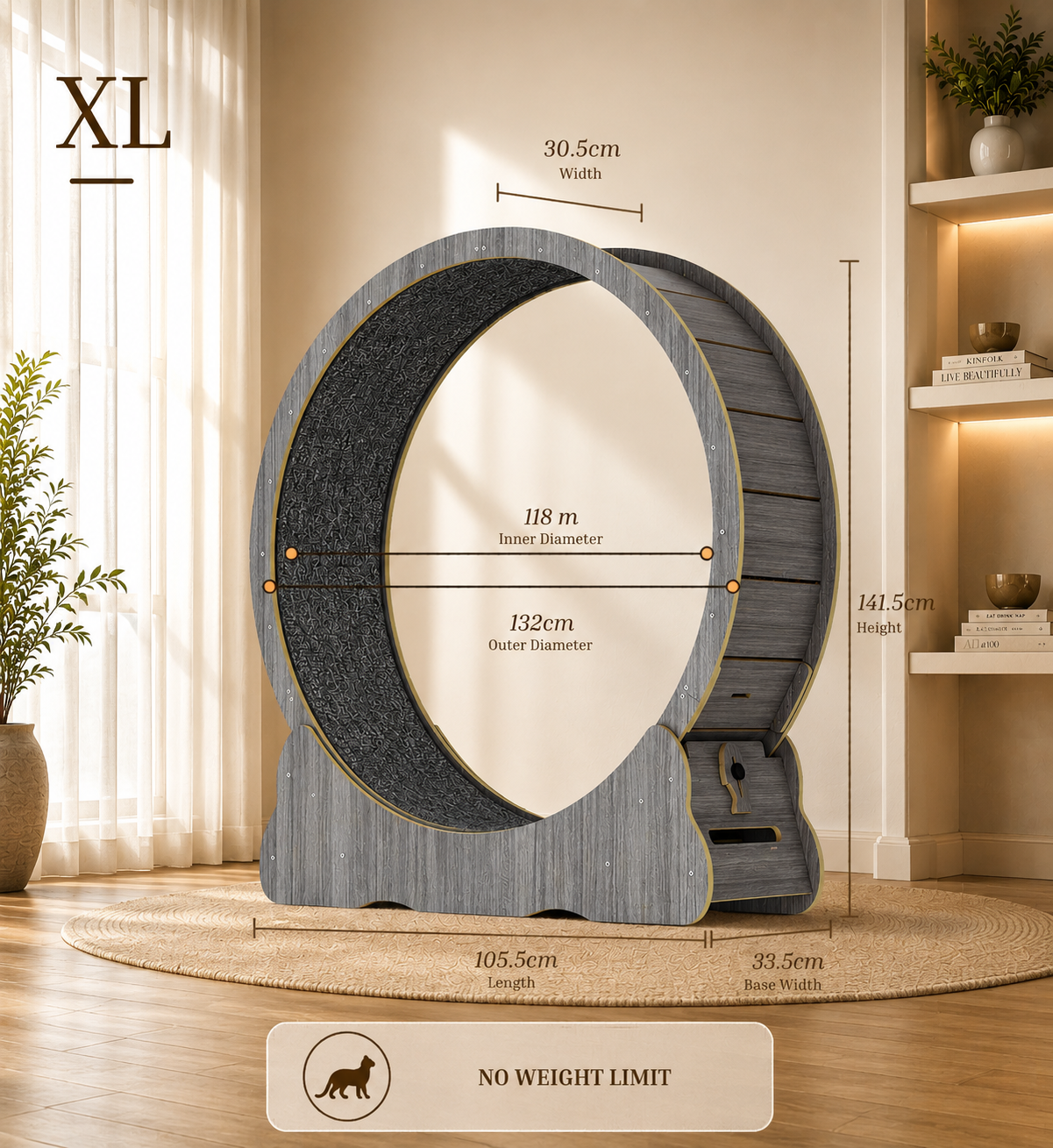 Cat Running Wheel