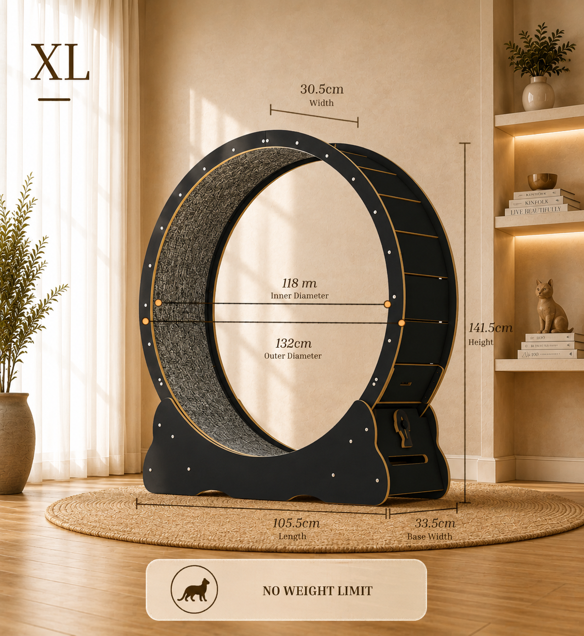 Cat Running Wheel