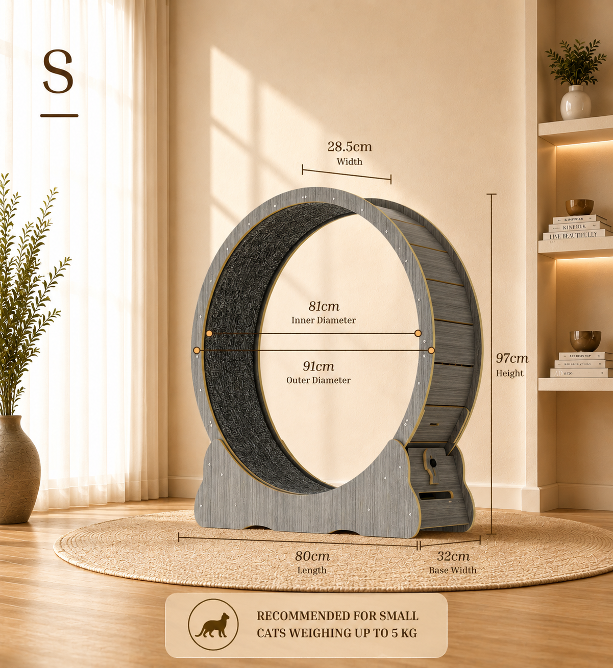 Cat Running Wheel