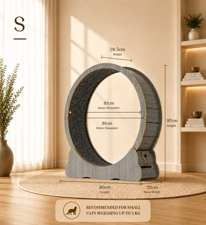 Cat Running Wheel