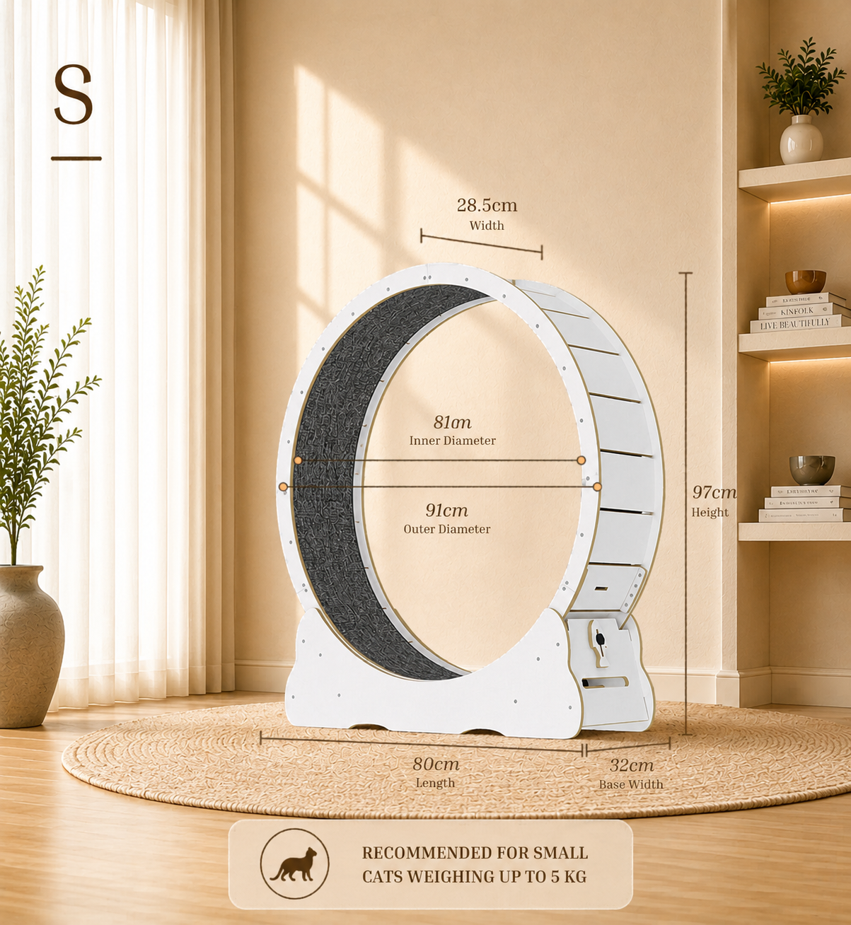 Cat Running Wheel