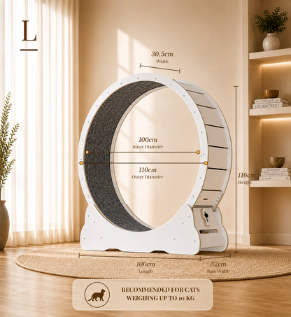 Cat Running Wheel