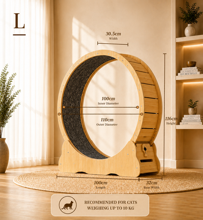 Cat Running Wheel