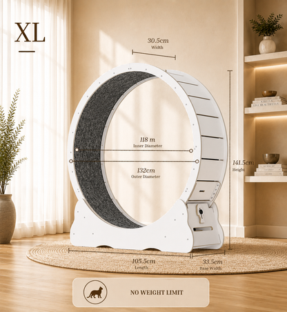 Cat Running Wheel