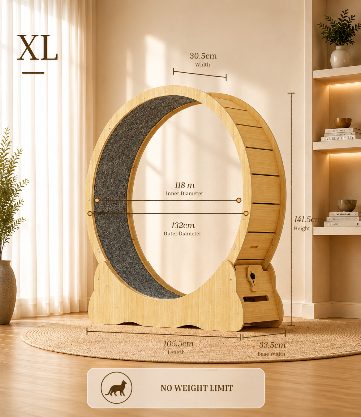 Cat Running Wheel